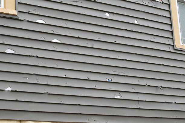 Best Steel Siding Installation  in Shoh, IL